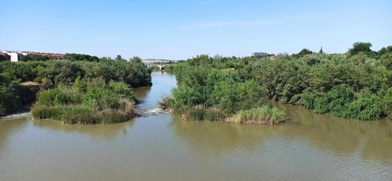 La Pequena Taifa I Διαμέρισμα Κόρδοβα Εξωτερικό φωτογραφία